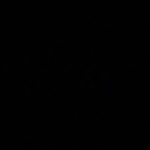 Meet your Posher, Josephine